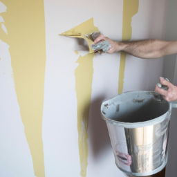 Peinture - sols : Transformez Vos Sols avec une Peinture Résistante et Esthétique Cayenne